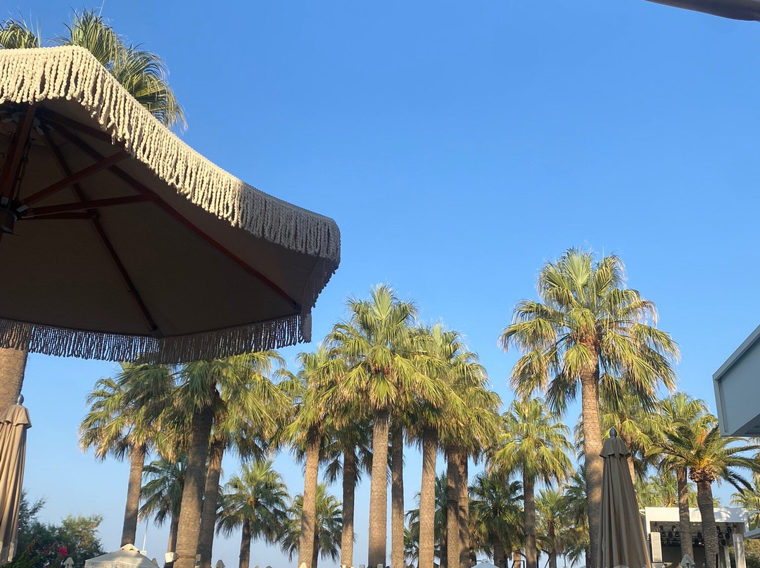 Cabana Mare Beach Resort景点图片
