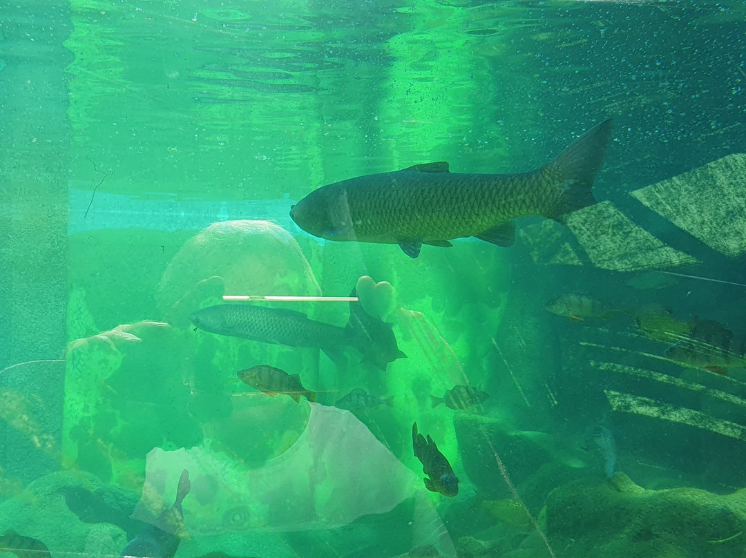 Aquarium du Perigord Noir景点图片