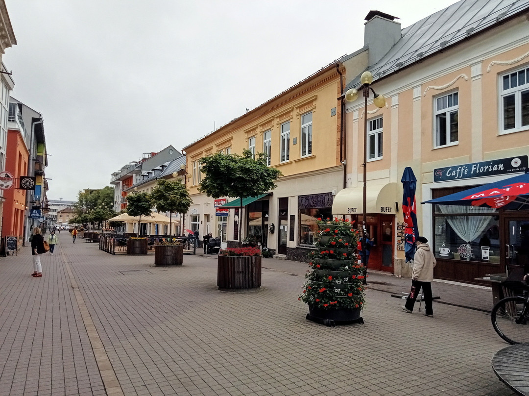 Poprad Tourist Information Center景点图片