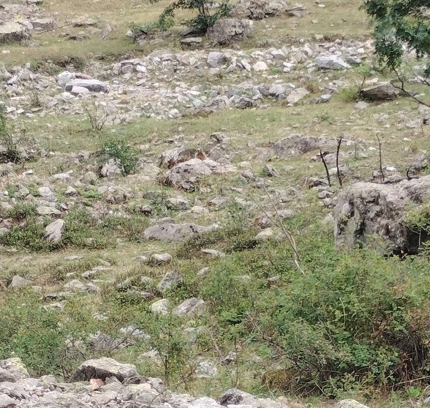 Prati del Vallone-Pietraporzio必去景点