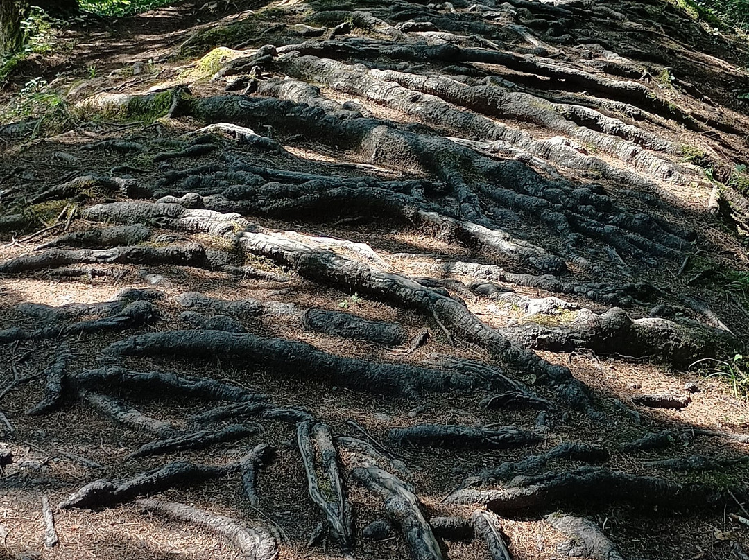 Cascade du Morel景点图片