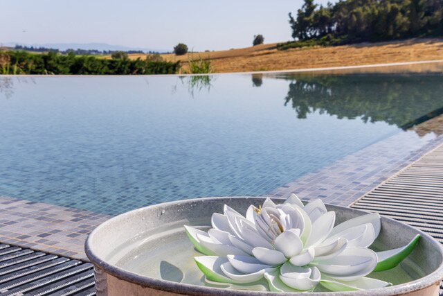 Oikos Sani Suites