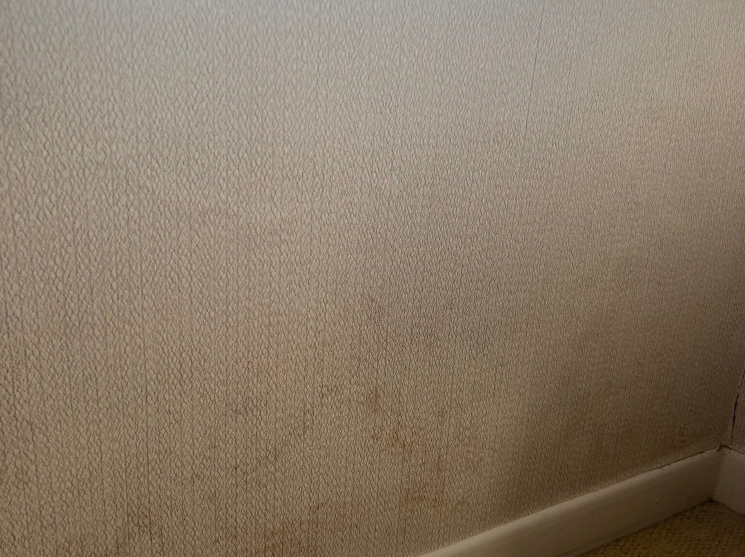 The Ashburnham Hotel主图