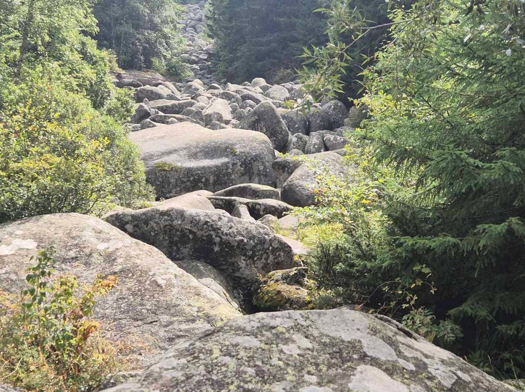 One Day Adventure-索非亚必去景点