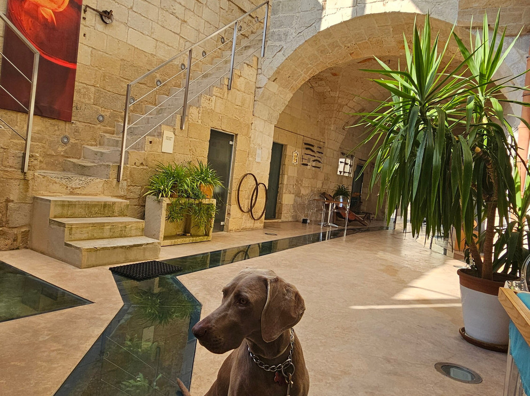 科尔特迪法兰切西酒店主图