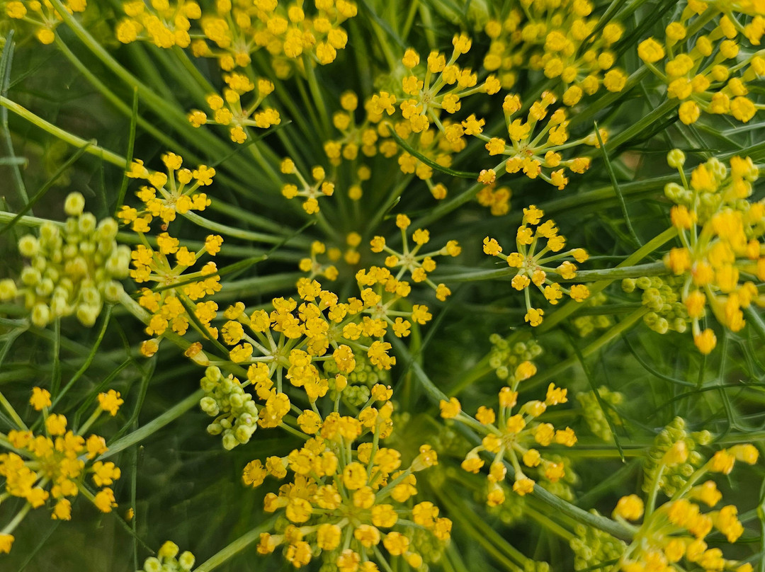 Quiet Mountain Country House主图