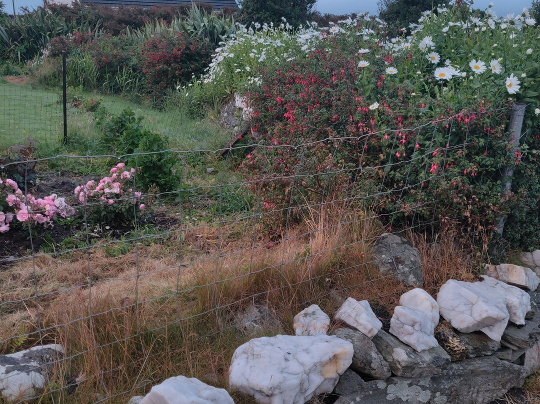 Joyce's Marian Villa Guesthouse主图