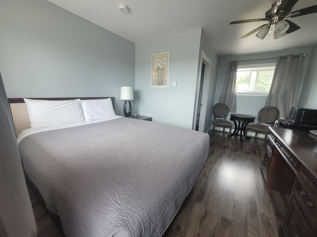 Town & Country Motel主图