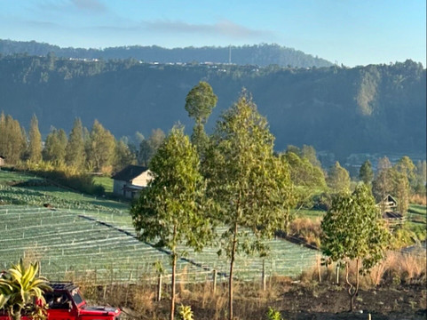 Bali delta tour-登巴萨必去景点