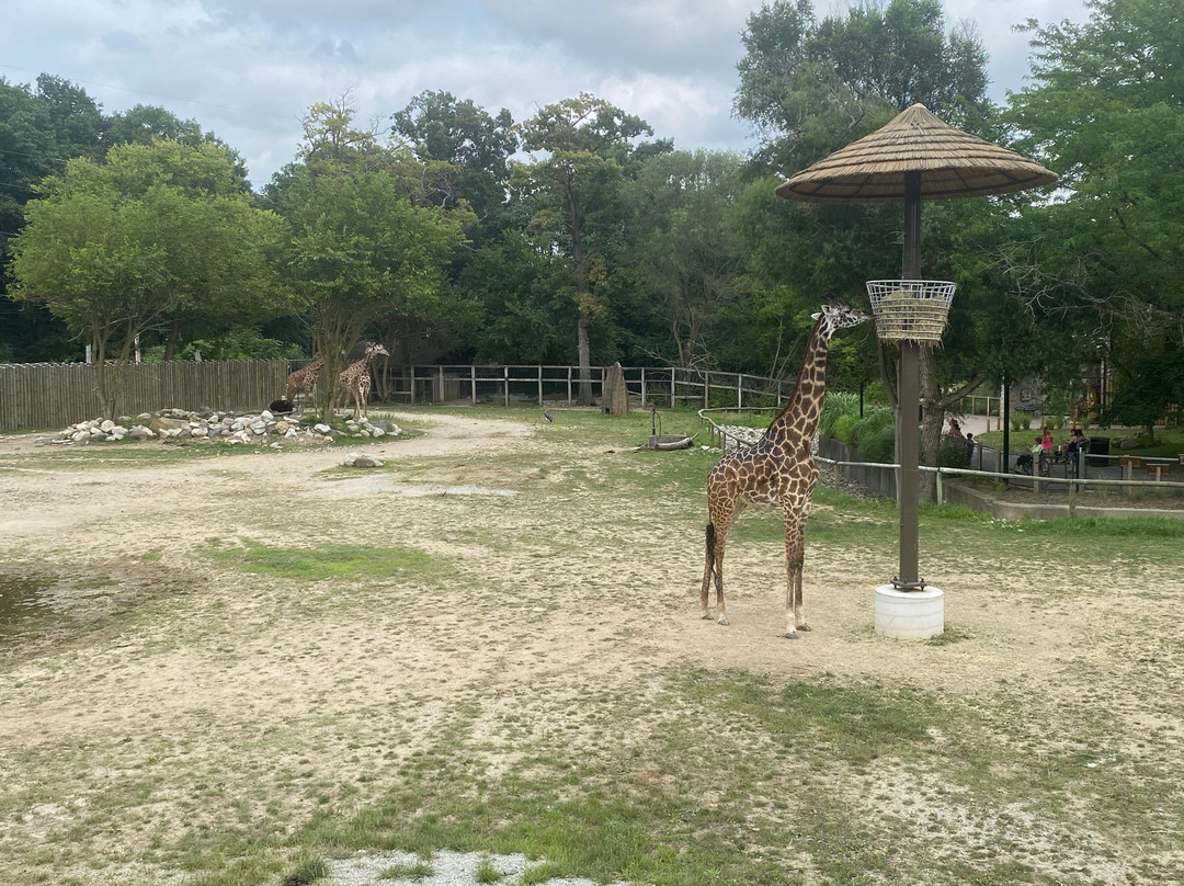 Potawatomi Zoo-南本德必去景点