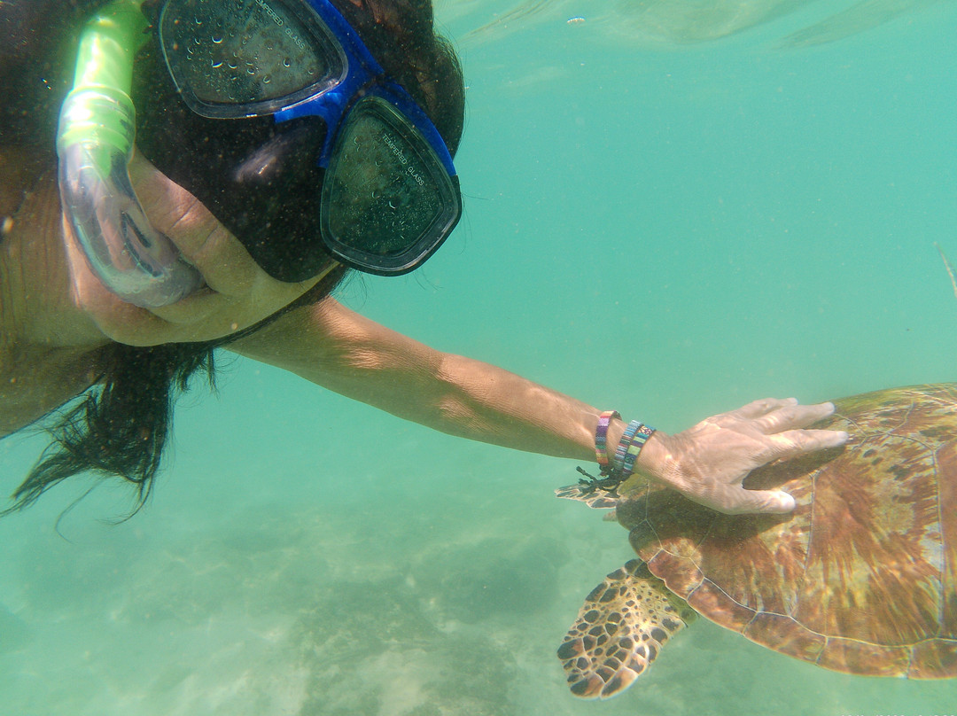 Turtles Snorkeling in Mirissa-Thalaramba必去景点