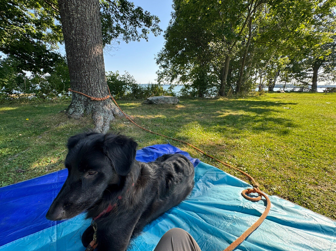 Winslow Memorial Park Camping and Public Beach景点图片