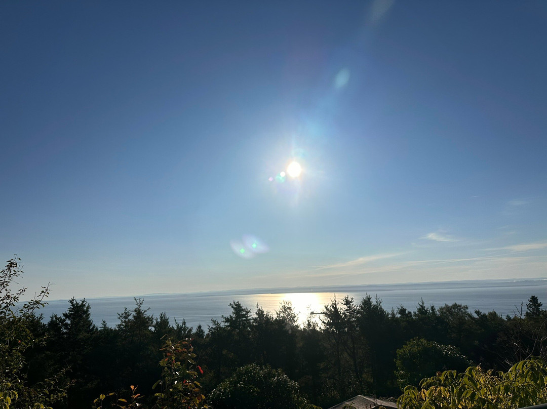 Le Manoir Hortensia (131504)主图