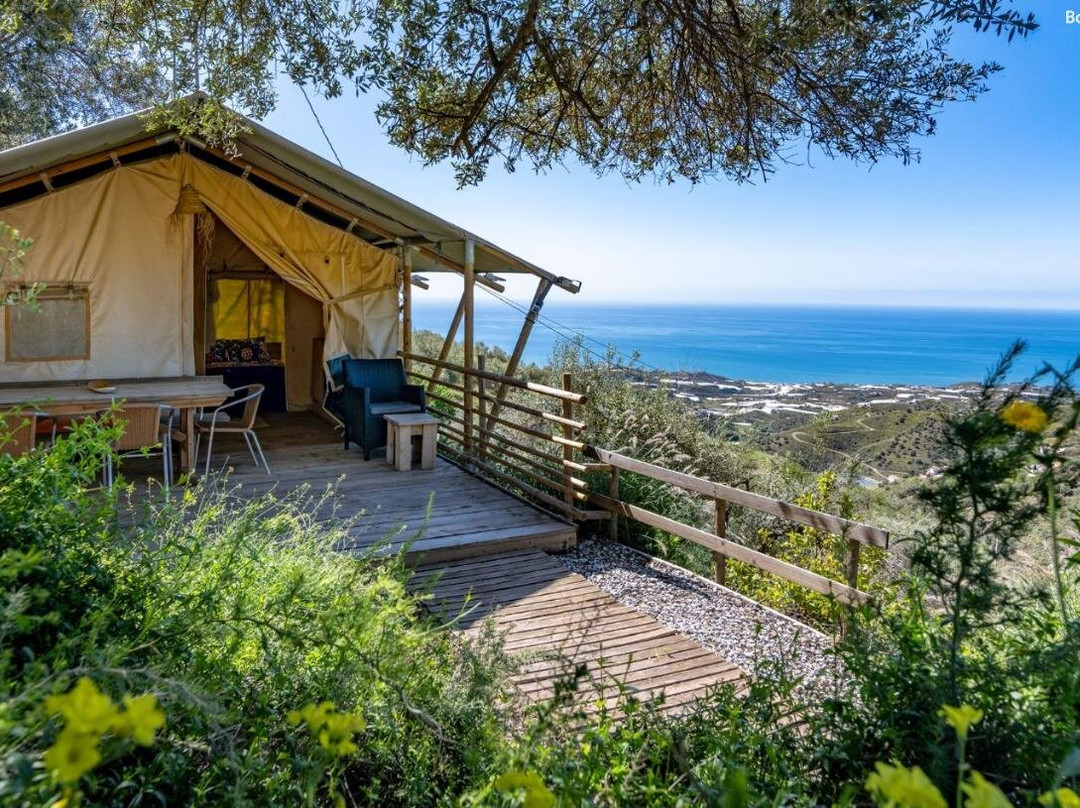 Campo Agave Luxury Tents