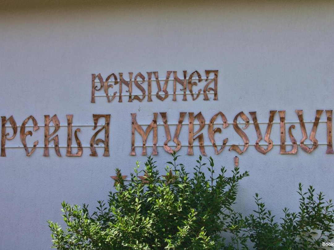 Perla Muresului主图