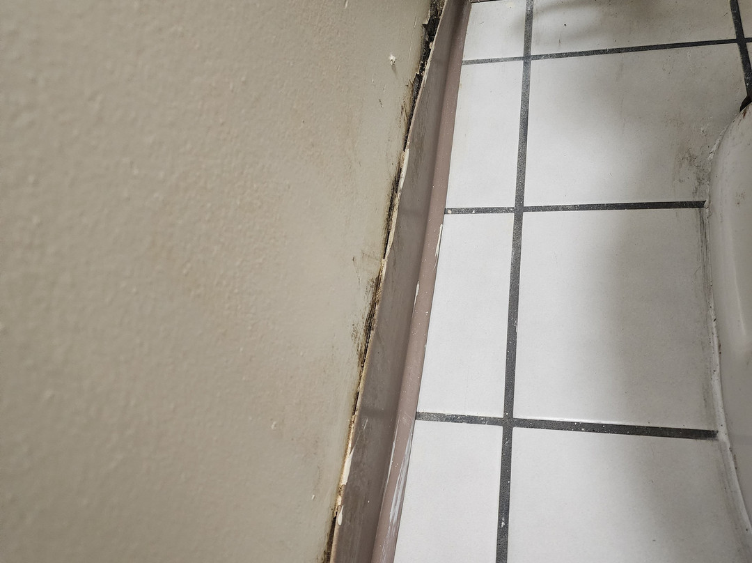 Baymont by Wyndham Ozark主图