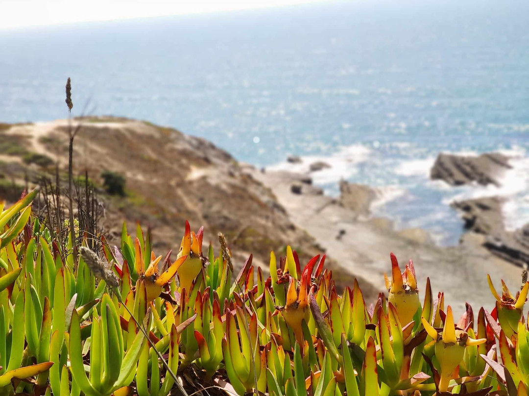 VTours Algarve-法罗必去景点