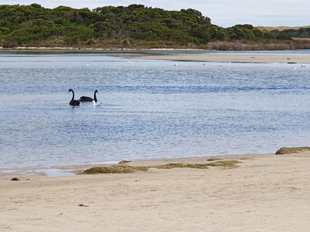 Estuary Beach景点图片