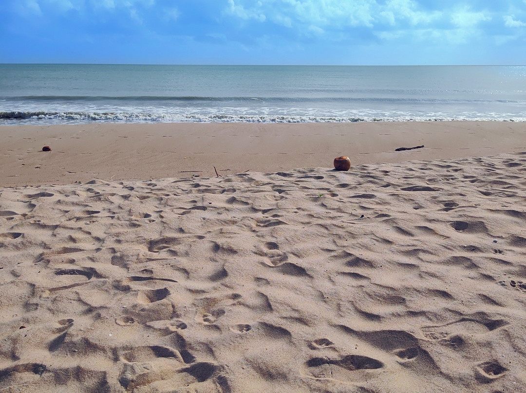 Pititinga Beach景点图片