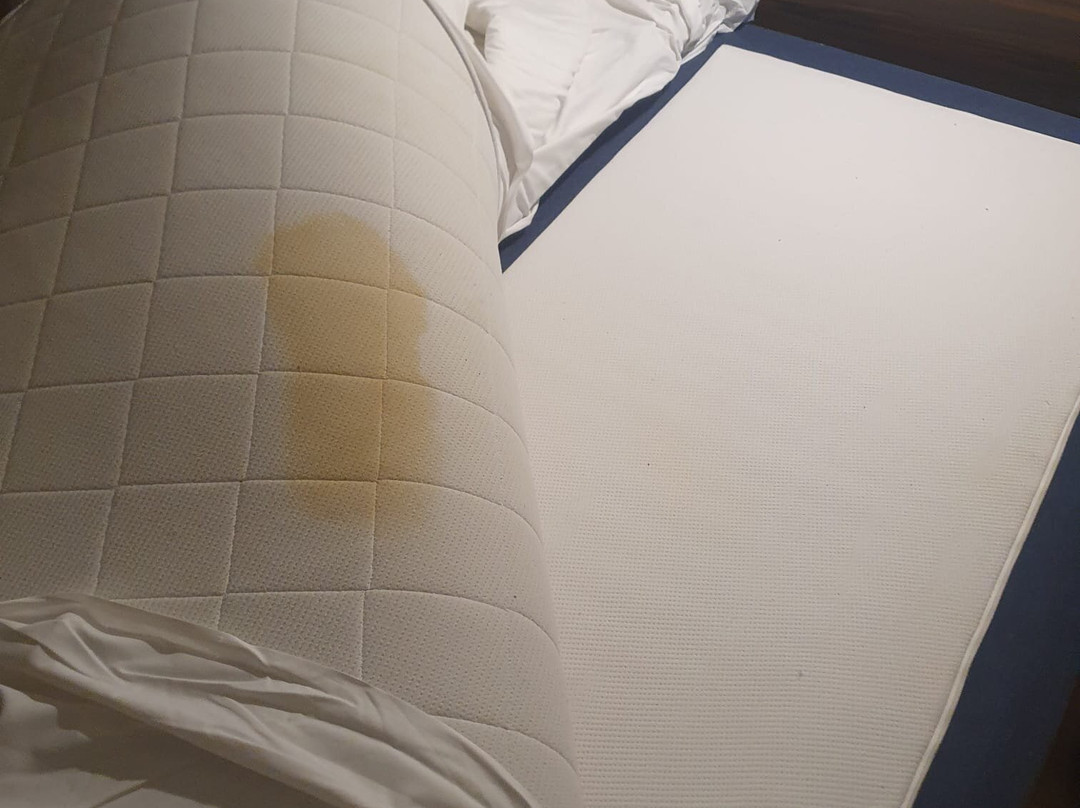 Pirita Beach Apartments & Spa主图