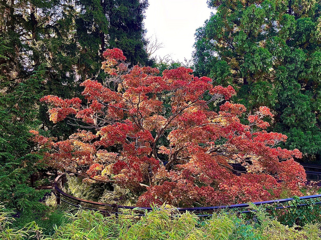 Chanticleer-Wayne必去景点