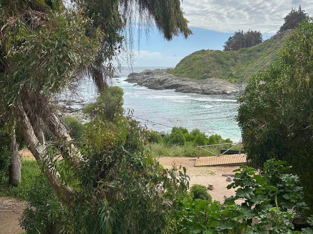 Playa Las Cujas-萨帕亚尔必去景点