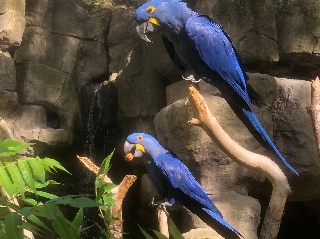 Zoo Wuppertal景点图片