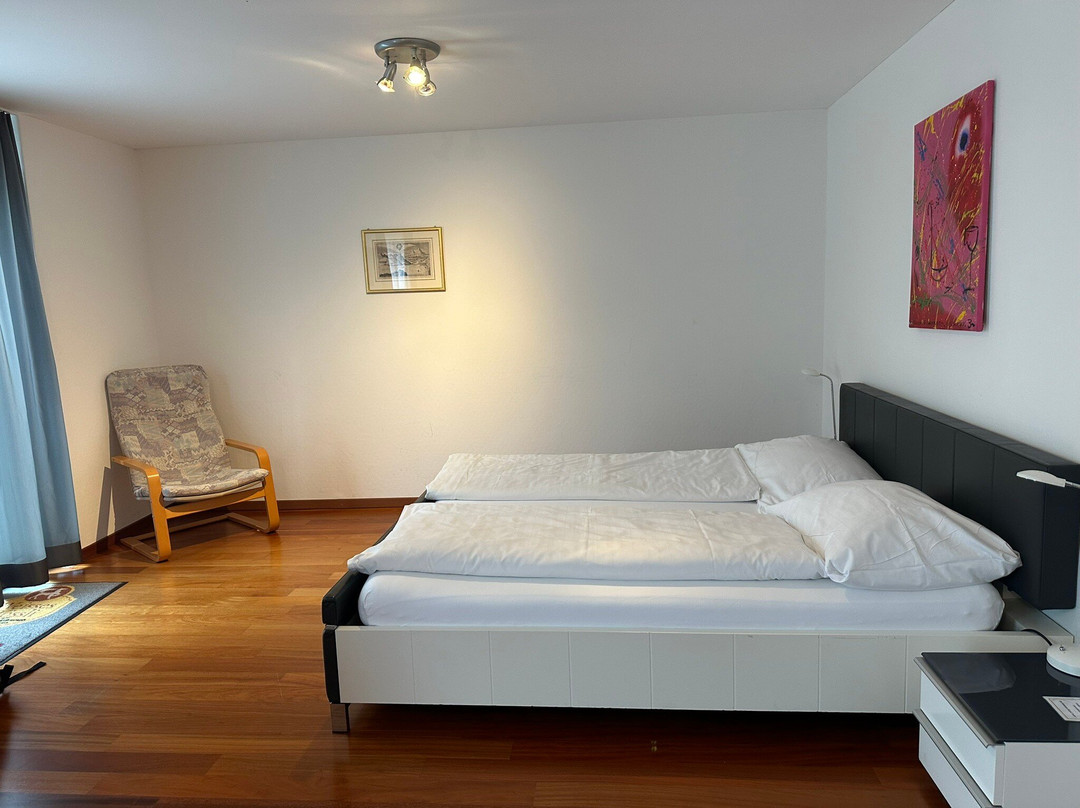 Hotel Weisses Roessli主图