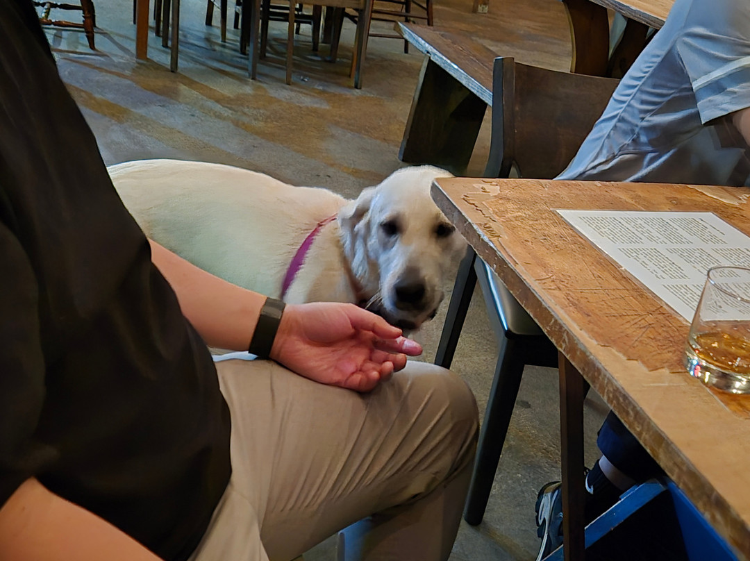 John Emerald Distilling Company-欧佩莱卡必去景点