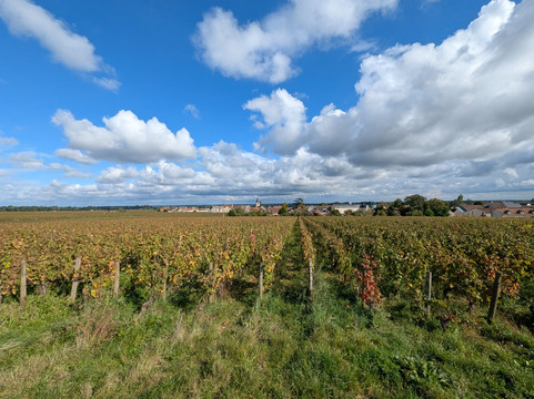 Burgundia Tour-巴黎必去景点