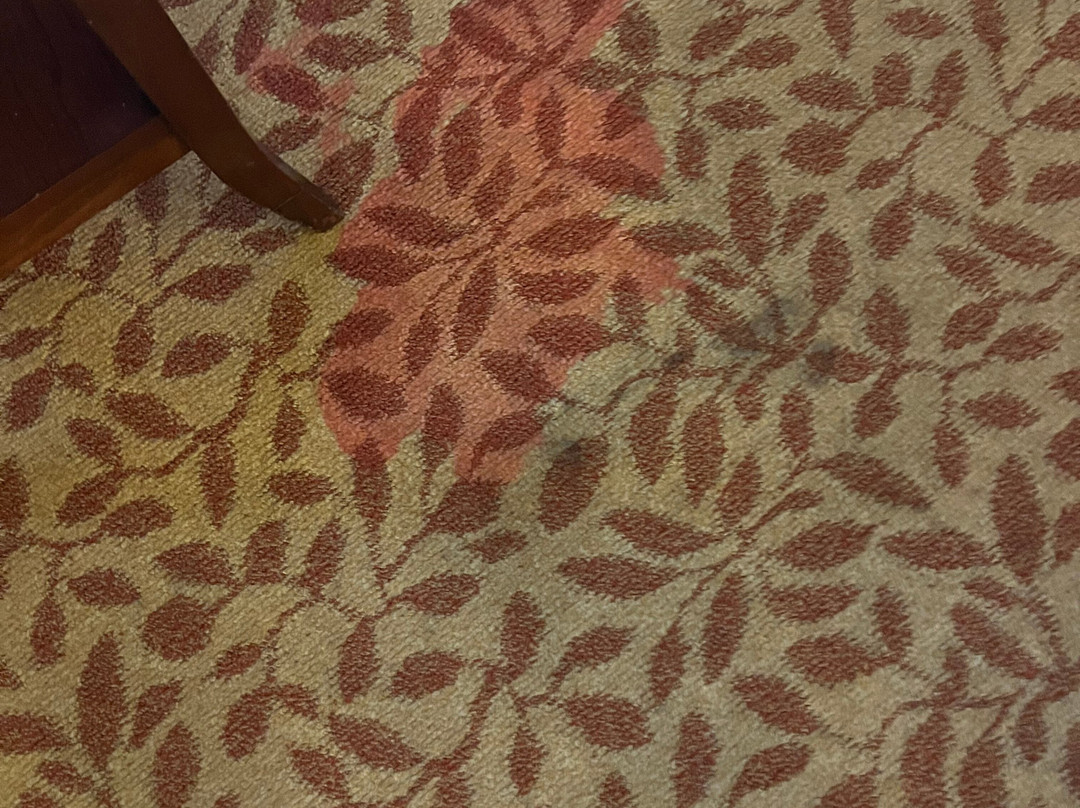 New Orleans Marriott Metairie at Lakeway主图