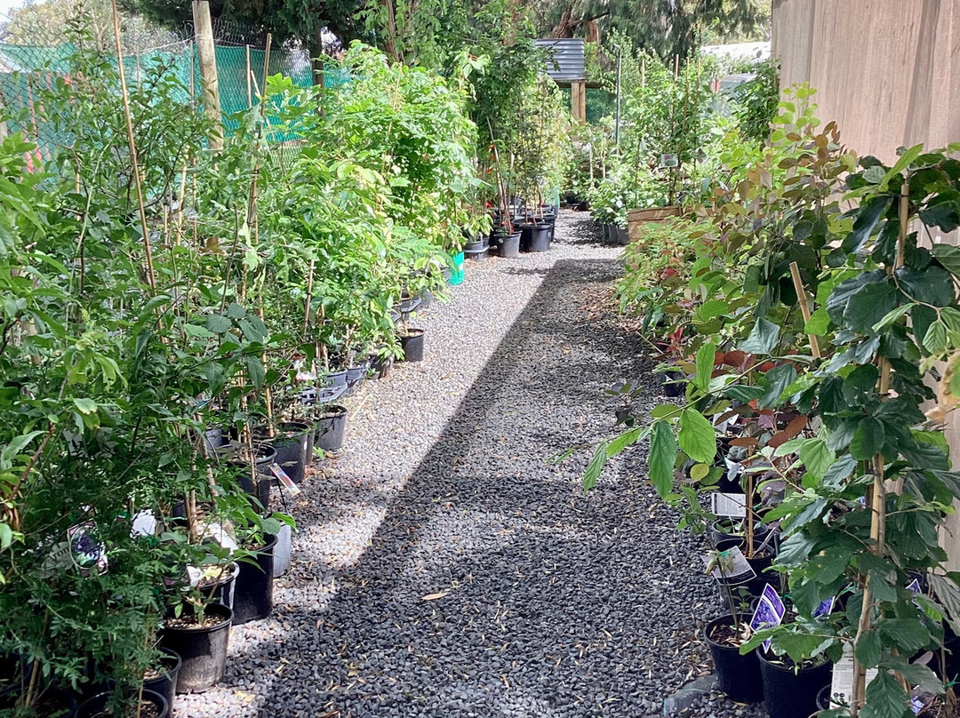 Great Escape Garden Centre-Casterton必去景点