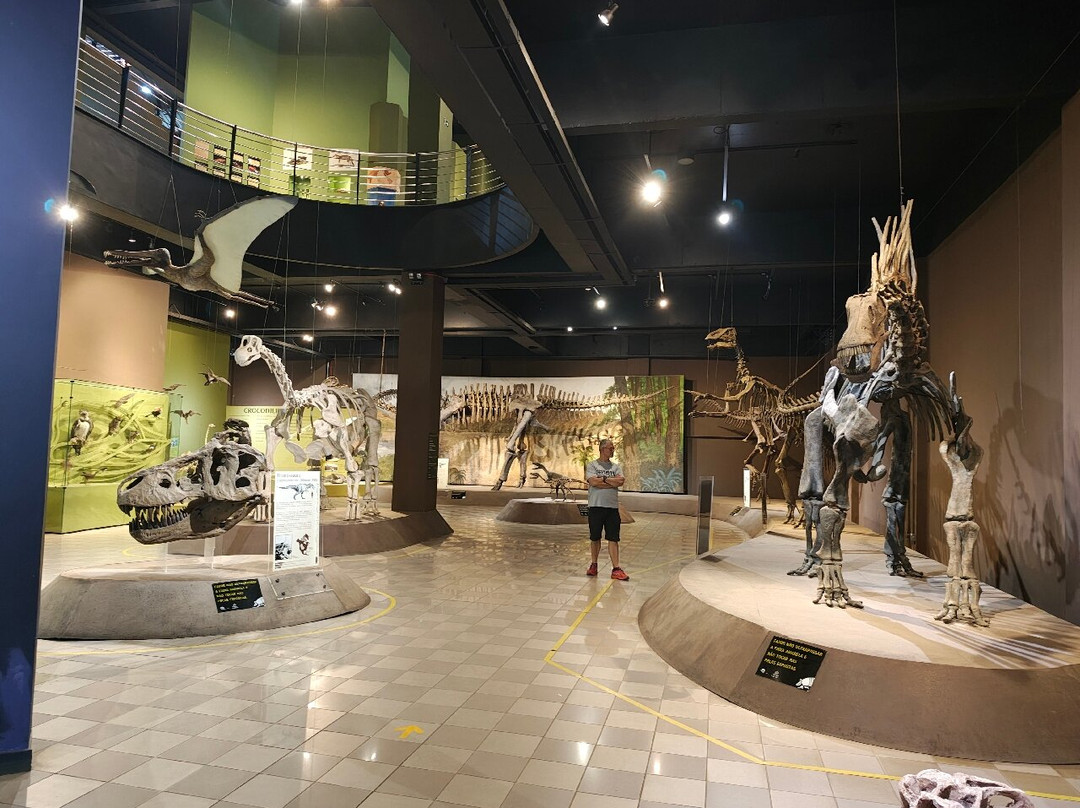 Museu de Ciências Naturais PUC Minas-贝洛哈里桑塔必去景点