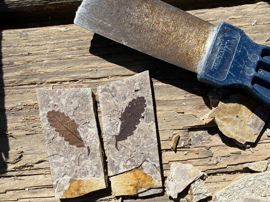 Florissant Fossil Quarry-Florissant必去景点