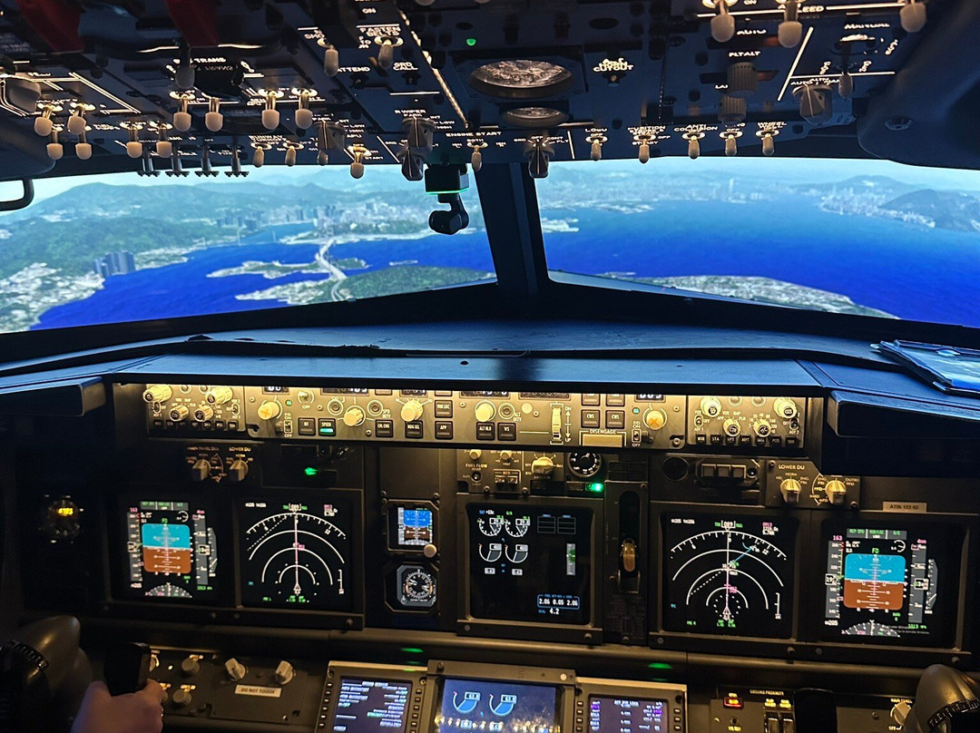 Simair737 Flight Simulators景点图片