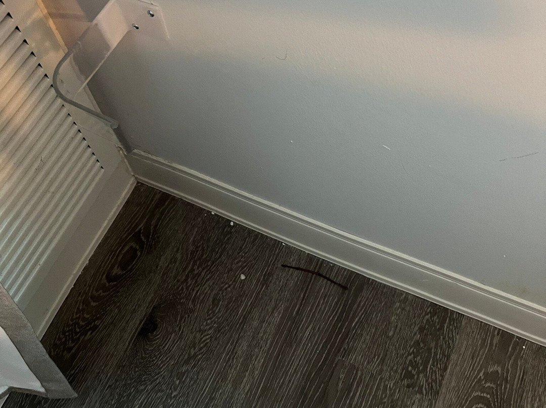 MeadowView Conference Resort & Convention Center主图