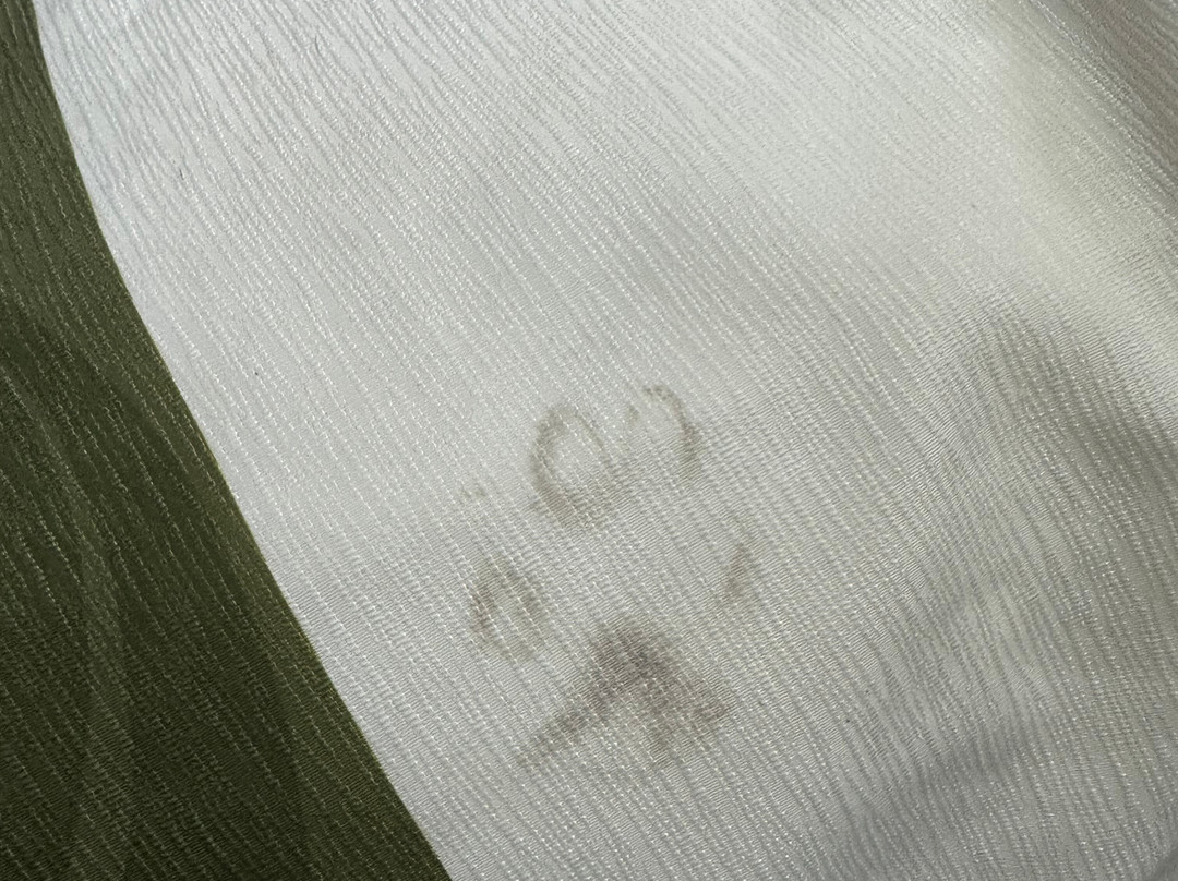 Quality Inn University主图