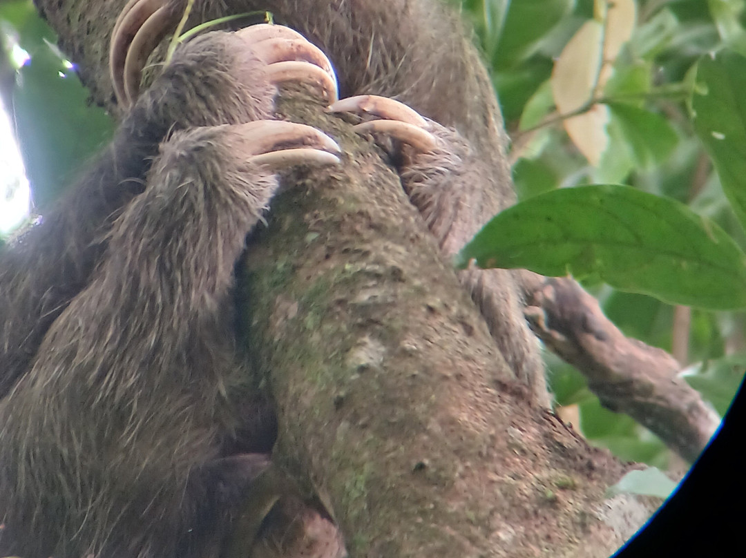 Green Eco Park CR-El Tanque必去景点