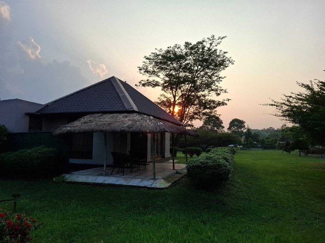 Musa Jungle Retreat主图