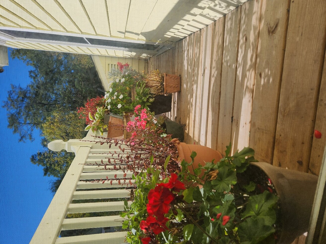 Cooperstown Bed and Breakfast主图