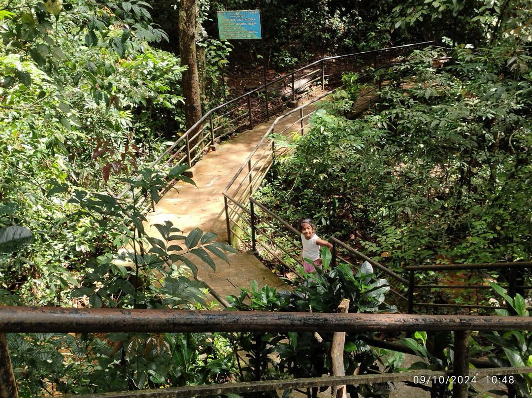 Sirimane Falls景点图片