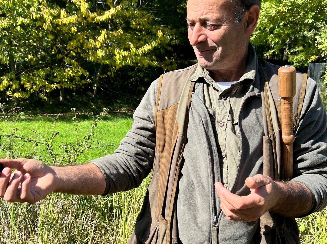 Wild Foods Italy-Montefalco必去景点