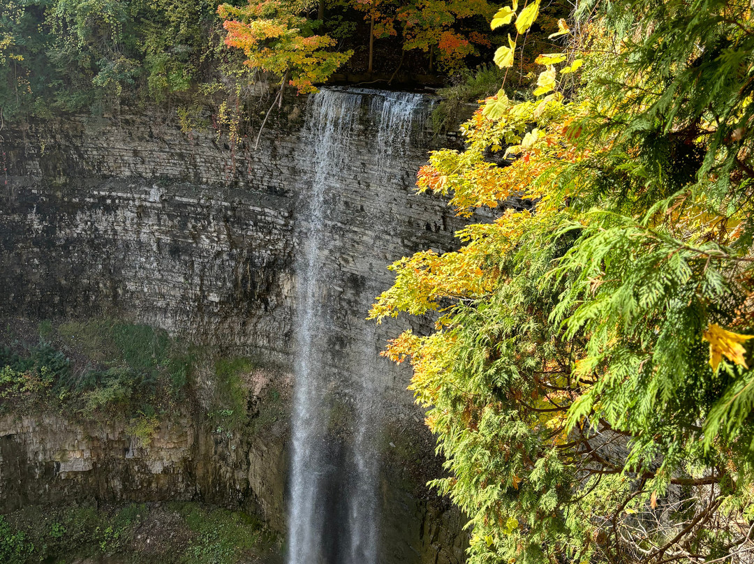 Spencer Gorge Conservation Area-邓达斯必去景点