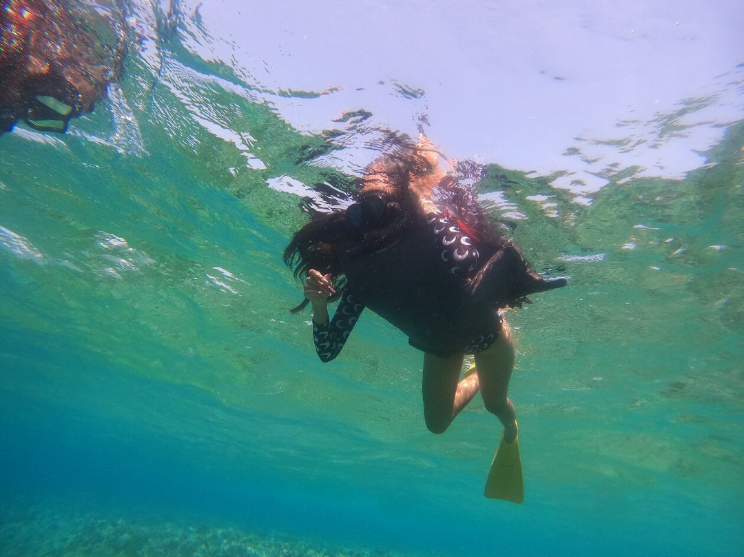 Snorkeling Menjangan Explore景点图片