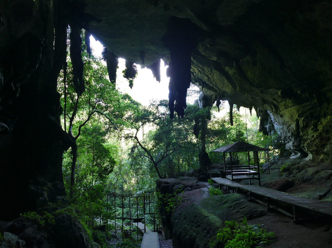 Niah National Park-美里必去景点