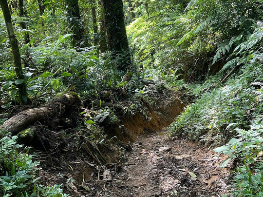 Full Adventures Boquete-波魁特必去景点