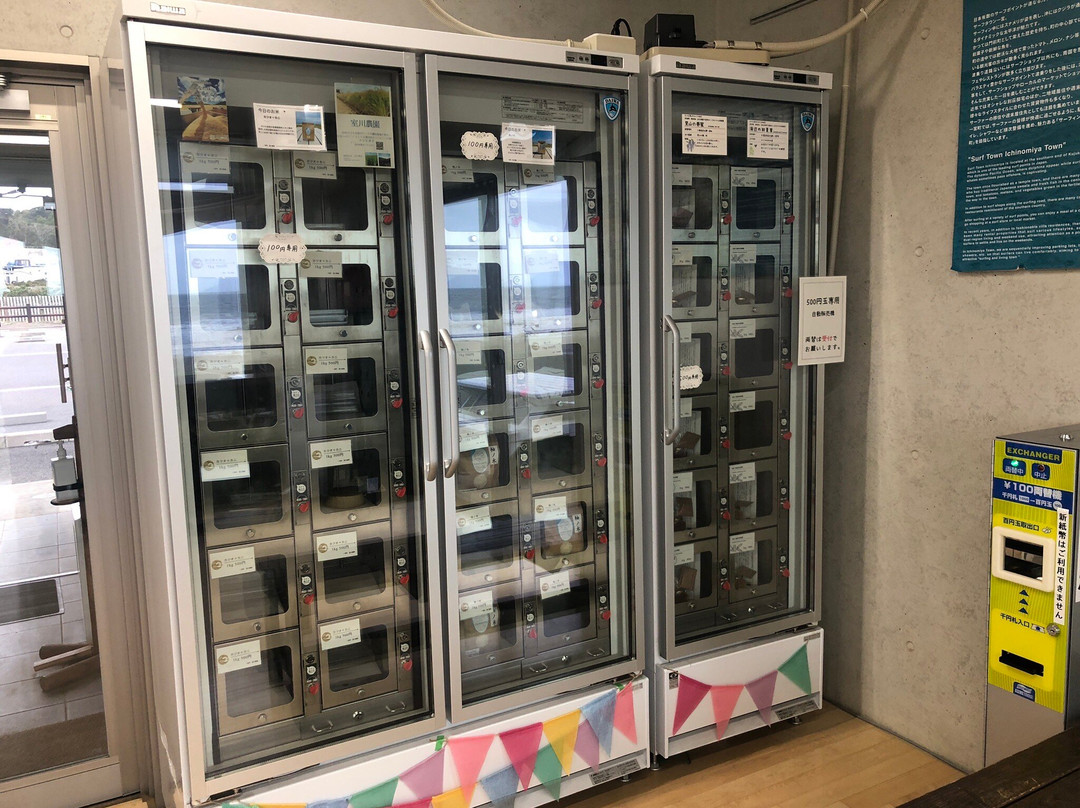 Tsurigasaki Kaigan Shidashita-一宫町必去景点