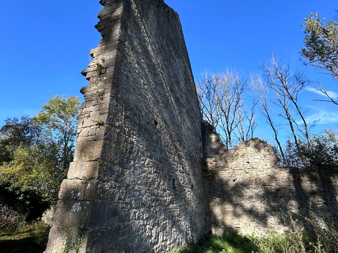 Les Ruines Medievales de Poilvache景点图片