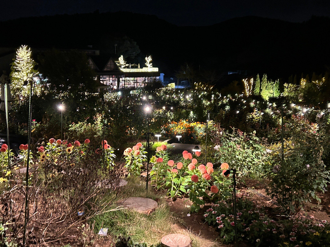 Ibaraki Flower Park景点图片