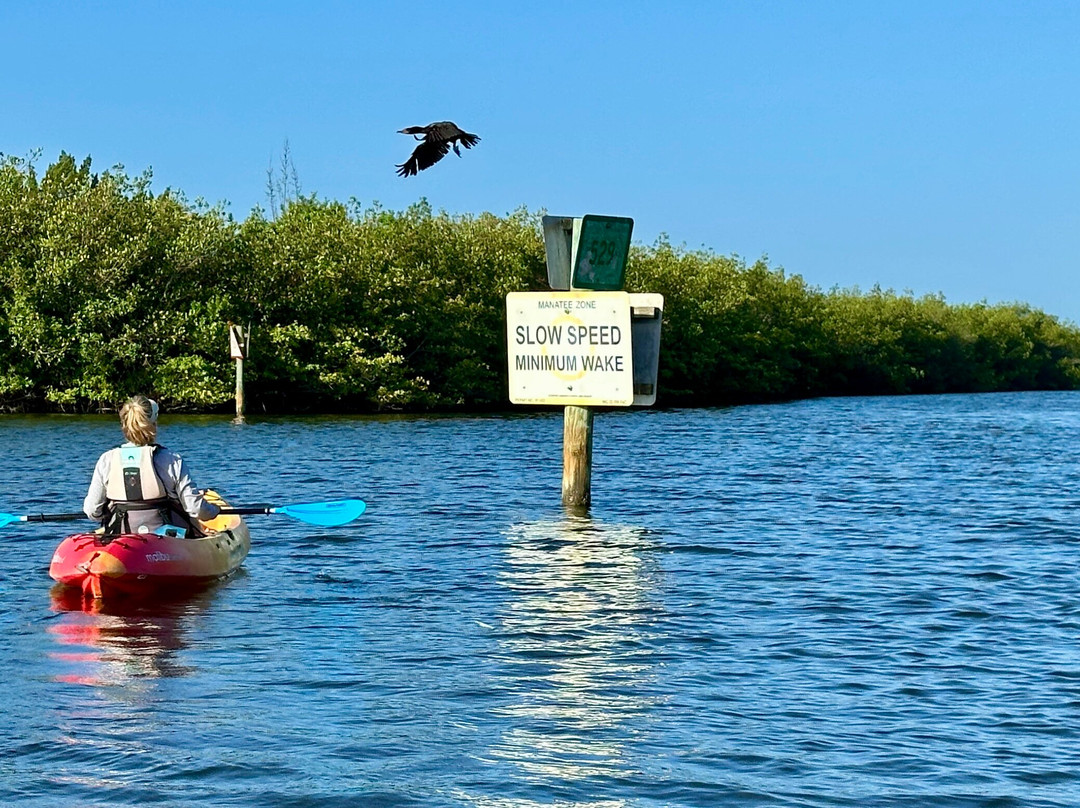 Cocoa Beach Kayaking-可可海滩必去景点